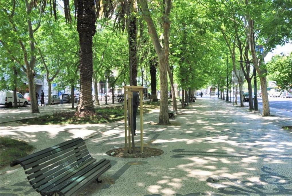Apartamento Pn New Ac! Stylish & Central- View To Tram 28!
